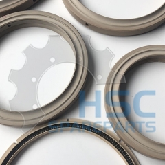 Seal ring shaft seal series